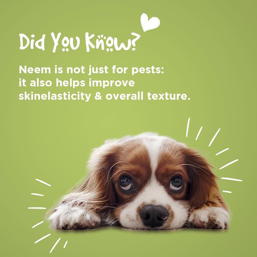 Pil Neem Plus: The All-in-One Herbal Pet Shampoo for a Happy, Healthy Coat - Image 2